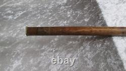 Folk art cane with a carved wooden dog-head knob, zoomorphic boxwood