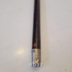 France Elegant Antique Cane with Silver Inlays and Painted Stripes