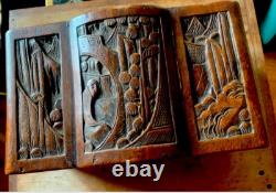 Fully Carved Antique Camphor Chest 19th Century