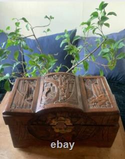 Fully Carved Antique Camphor Chest 19th Century