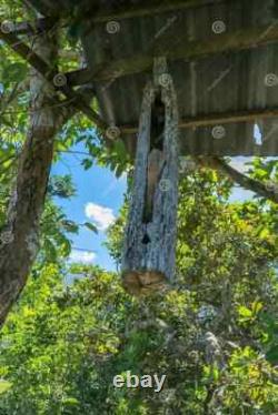 Giant Temple Bell THAILAND Polychrome Wood Large Format 19th Century 1.40 meters