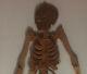 Grand Rare Pine Wood Skeleton Curiosity Object Popular Art 1960
