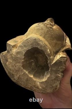 Head, Virgin Wood, High Period, 15th Century