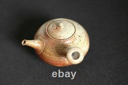 Japanese Ceramic Teapot Kyusu Teapot 250 ML / Shiraiwa Taisuke
