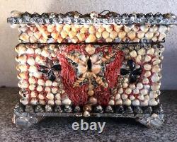 Large Box Antique Shell and Coral Decor Box