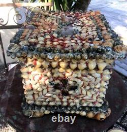 Large Box Antique Shell and Coral Decor Box