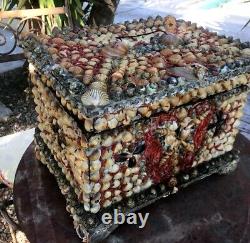 Large Box Antique Shell and Coral Decor Box