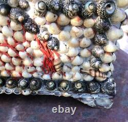 Large Box Antique Shell and Coral Decor Box