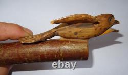 Large ancient whistle bird call in hazel wood popular art