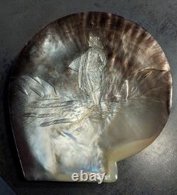 Large carved mother-of-pearl shell