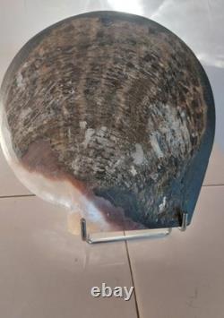 Large carved mother-of-pearl shell