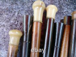 Lot of 20 vintage wooden and horn umbrella handles, ideal for coat rack or hat stand.