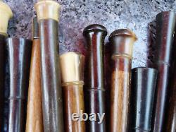 Lot of 20 vintage wooden and horn umbrella handles, ideal for coat rack or hat stand.