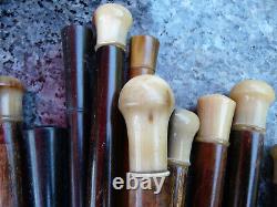 Lot of 20 vintage wooden and horn umbrella handles, ideal for coat rack or hat stand.