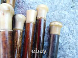 Lot of 20 vintage wooden and horn umbrella handles, ideal for coat rack or hat stand.