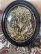 Napoleon Iii Orange Blossom Wedding Crown Frame 51.5x43.5 B Condition Rare