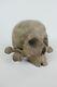 Old Crne Wood Polychrome Erose Xixth Antik Handmade Wooden Skull