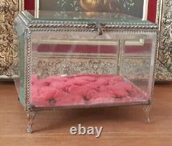 Old Large Brass Beveled Glass Napoleon III Wedding Casket