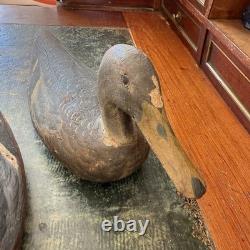 Old Painted Carved Wooden Duck Decoys Folk Art