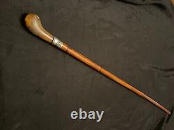 Old cane. Corkscrew
