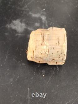 PRETTY ANTIQUE POPULAR ART VAIRONS TRAP APPT FISH BLOWN GLASS 18th CENTURY