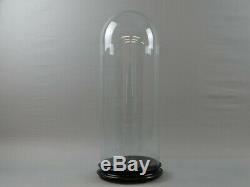 Pair Great Curiosity Cabinet Globe Glass Globe Curiosity Taxidermy Thc 19