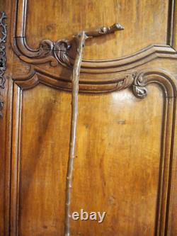 Popular Art 19th Century Carved Wooden Cane Representing a Dog