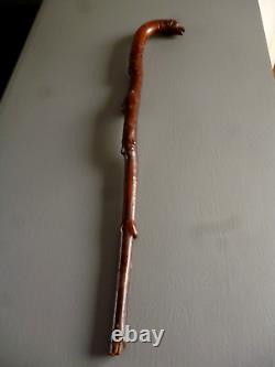 Popular Art: Antique Carved Wooden Monoxyle Walking Stick with Dog Head