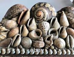 Popular Seafront Art Box With Seashells