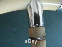 Pretty Fine Cane 19th Tooth Morse Montureargent Rod Bamboo Beautiful Condition