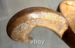 Savoy Skimmer Shovel
