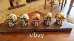 Set of small skulls in copper alloys on an oak base
