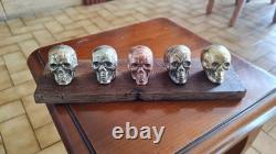 Set of small skulls in copper alloys on an oak base