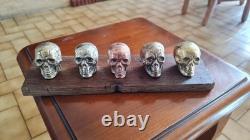 Set of small skulls in copper alloys on an oak base