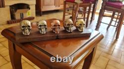 Set of small skulls in copper alloys on an oak base