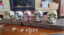 Set of small skulls in copper alloys on an oak base