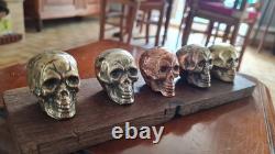 Set of small skulls in copper alloys on an oak base