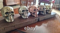 Set of small skulls in copper alloys on an oak base