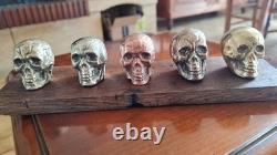Set of small skulls in copper alloys on an oak base