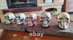 Set of small skulls in copper alloys on an oak base
