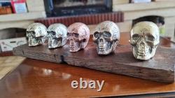 Set of small skulls in copper alloys on an oak base