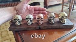 Set of small skulls in copper alloys on an oak base