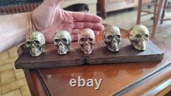 Set of small skulls in copper alloys on an oak base