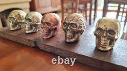 Set of small skulls in copper alloys on an oak base