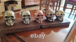 Set of small skulls in copper alloys on an oak base