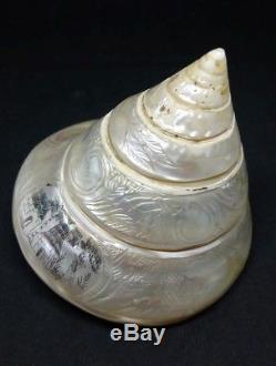 Shell Engraved In Mother-of-pearl Of Seaman New Caledonia End 19 Th