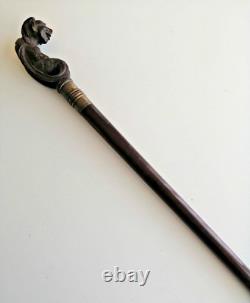 Superb antique mahogany cane with a beautiful carved knob, 19th century faun decoration