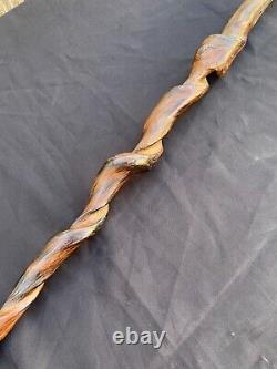 Twisted ancient cane