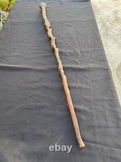 Twisted ancient cane