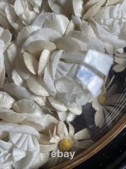 Wedding Crown Daisies Napoleon III Frame 45X37 Beautiful Condition Rare